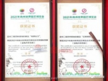 河北定州月季在揚州世園會(huì )斬獲大獎，一金一銀兩銅！