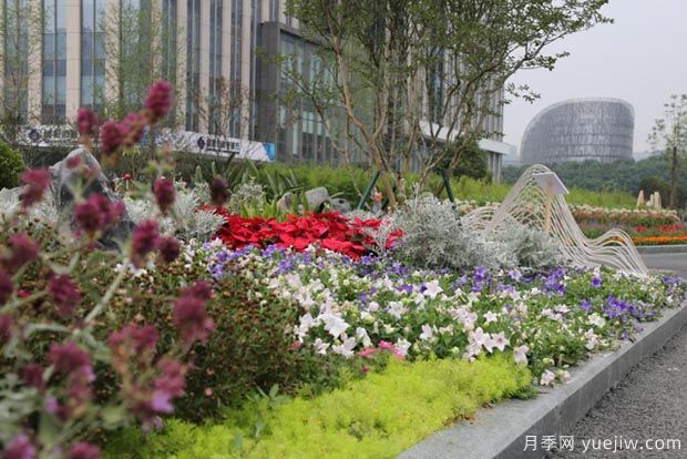 四川成都花卉苗木基地在地資產(chǎn)達800余億元(圖1)