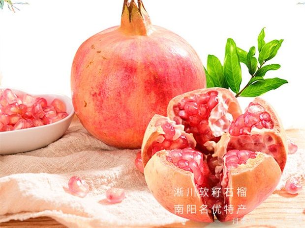 石榴病蟲(chóng)害防治技術(shù)(圖1)