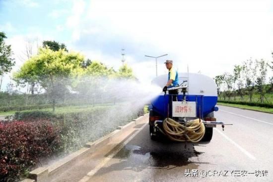 國外的園林綠化是怎么養護的？(圖4)