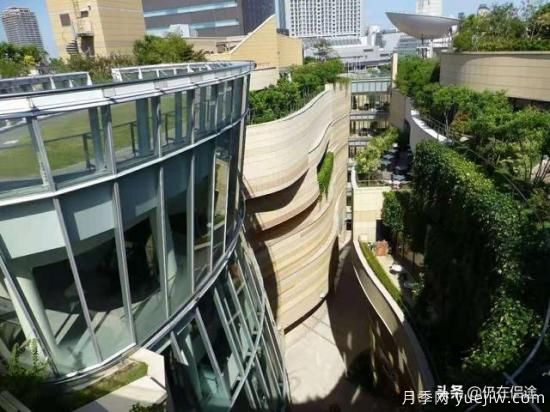國外的園林綠化是怎么養護的？(圖1)