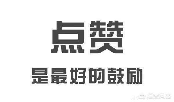 彩葉樹(shù)種哪些適合南方種植？表現要好些的！(圖3)
