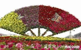 現在什么苗木種植前景好？(圖9)