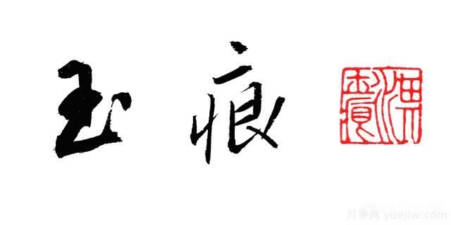 藤本月季的優(yōu)缺點(diǎn)是什么？有哪些？(圖4)