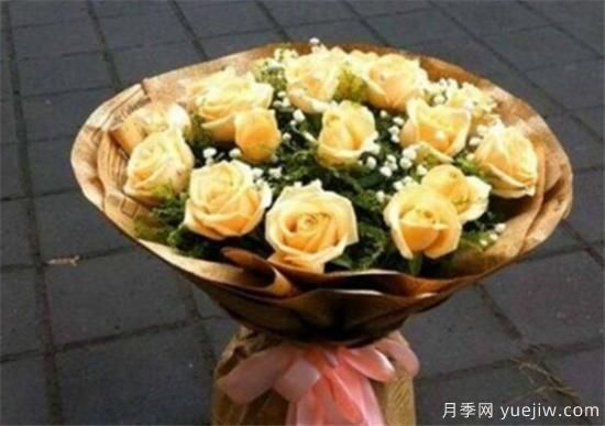 香檳玫瑰怎么養 香檳玫瑰的養殖方法和注意事項(圖1)