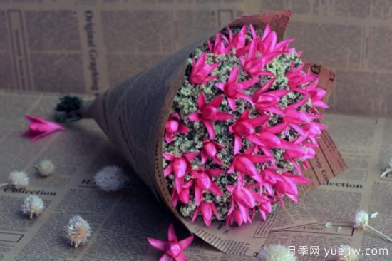 干花和永生花區別(圖3)