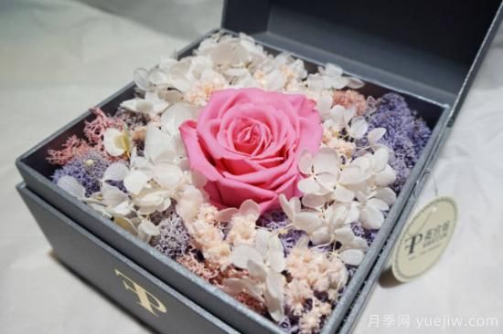 干花和永生花區別(圖2)