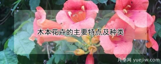 木本花卉的主要特點(diǎn)及種類(lèi)(圖1)