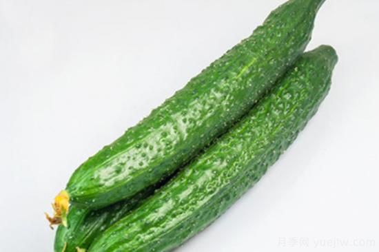 常見(jiàn)蔬菜名稱(chēng)大全 常見(jiàn)的蔬菜有哪些(圖2)