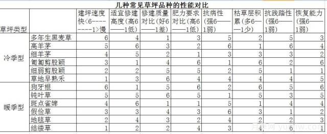 ***優(yōu)草坪品種分類(lèi)和搭配運用(圖2)