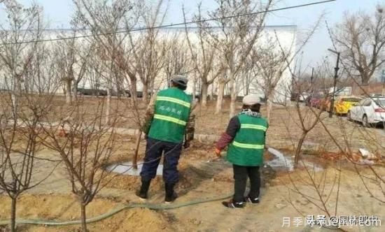 12月份園林養護如何做，才能給全年養護做個(gè)好結尾(圖3)