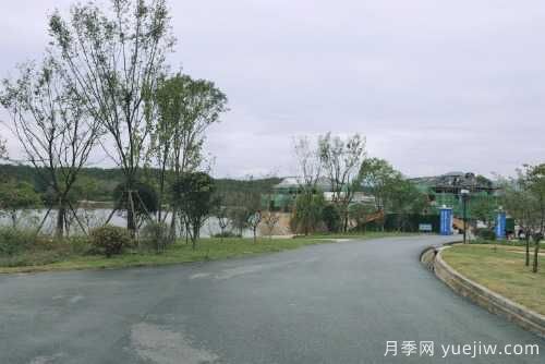 南陽(yáng)桐柏全力打造森林康養小鎮(圖1)