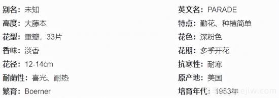 推薦高顏值且好養的10個(gè)藤本月季，看一眼就愛(ài)上(圖2)
