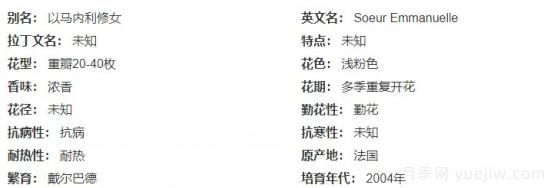 推薦高顏值且好養的10個(gè)藤本月季，看一眼就愛(ài)上(圖8)