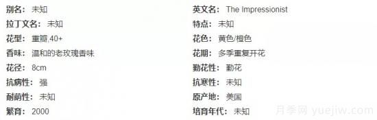 推薦高顏值且好養的10個(gè)藤本月季，看一眼就愛(ài)上(圖6)