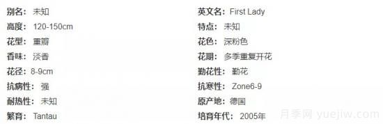 推薦高顏值且好養的10個(gè)藤本月季，看一眼就愛(ài)上(圖12)