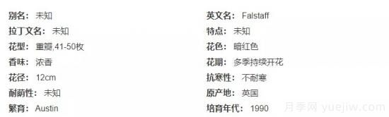 推薦高顏值且好養的10個(gè)藤本月季，看一眼就愛(ài)上(圖16)
