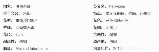 推薦高顏值且好養的10個(gè)藤本月季，看一眼就愛(ài)上(圖19)