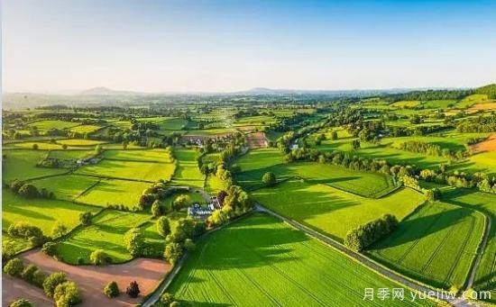 鄉村振興的10個(gè)新觀(guān)點(diǎn)，***后兩點(diǎn)很贊(圖1)