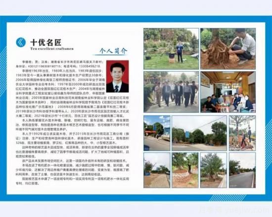 長(cháng)沙雨花：穩定年收入超200萬(wàn)， 李德桂如何靠苗木致富的(圖1)