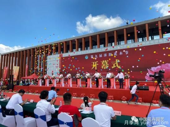 第九屆沭陽(yáng)花木節 用顏色經(jīng)濟創(chuàng  )造美麗生活(圖2)