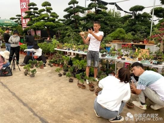 第九屆沭陽(yáng)花木節 用顏色經(jīng)濟創(chuàng  )造美麗生活(圖5)
