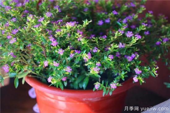 “厚德載物”是哪幾德，你知道嗎？漲知識！(圖1)