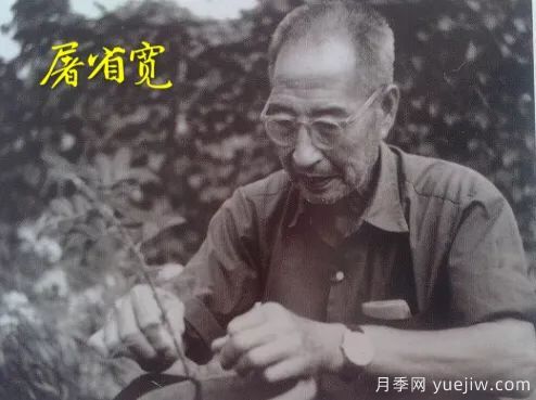 談?wù)勚袊录镜陌l(fā)展史，致敬中國的月季育種家前輩們！(圖29)