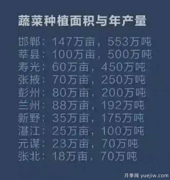 叫響南陽(yáng)蔬菜品牌，新野蔬菜基地和社旗蔬菜基地打牢基礎(圖1)