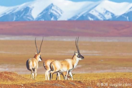 5個(gè)國家公園 5類(lèi)別樣景觀(guān)(圖1)