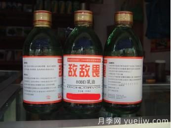 園林養護常用殺蟲(chóng)劑知識(圖1)