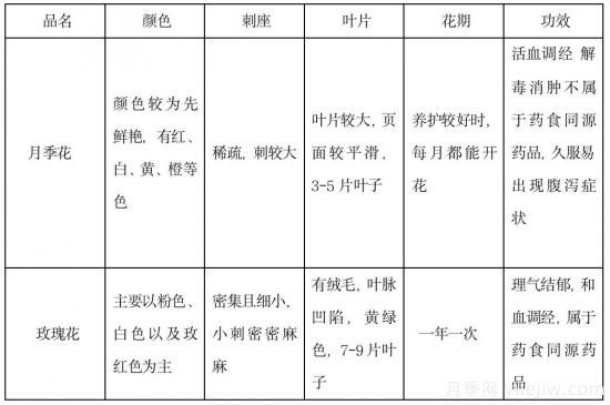 月季和玫瑰如何區分？圖解科普很詳細(圖14)