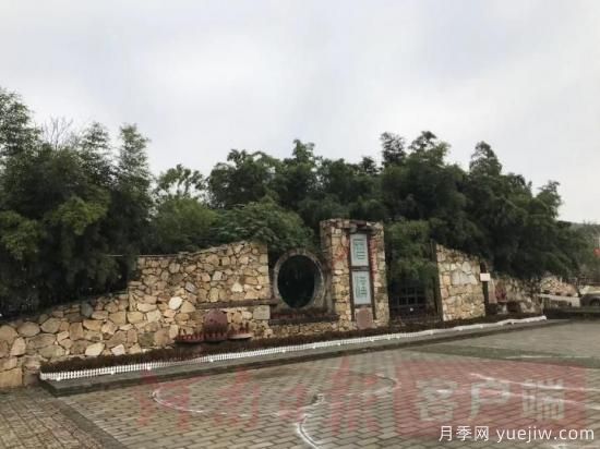 南陽(yáng)桐柏：全域黨建+旅游助推鄉村振興(圖3)