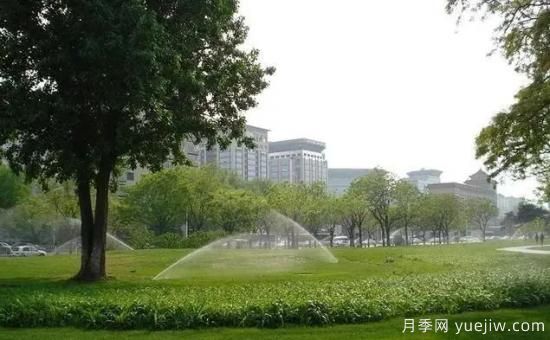 各個(gè)月份節點(diǎn)苗木養護指南(圖4)